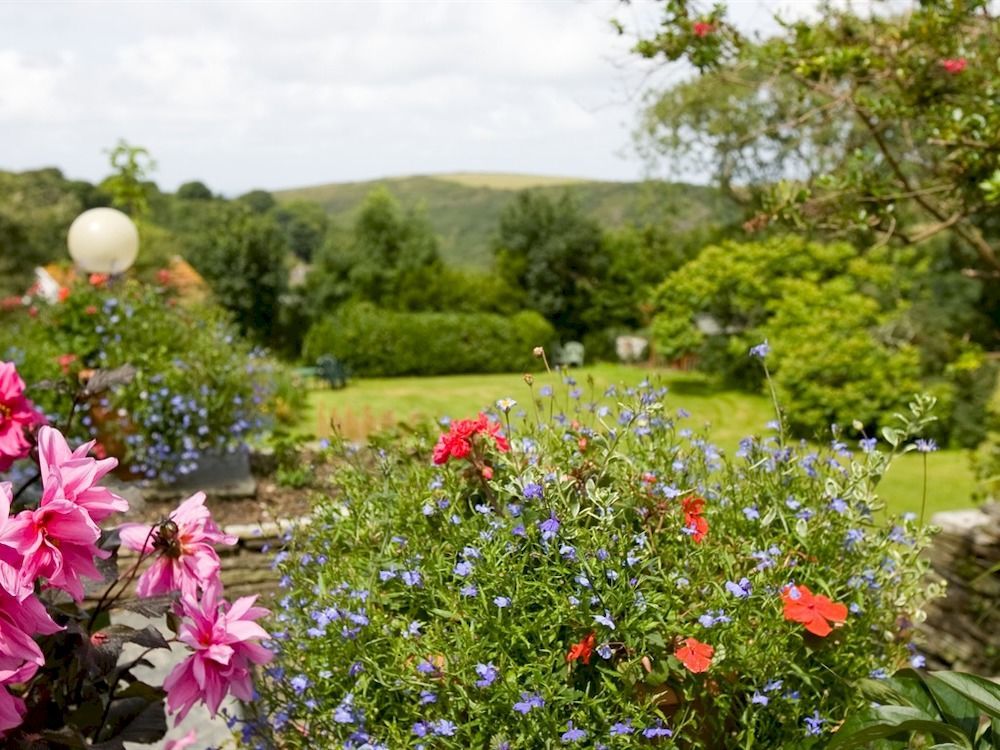 Boscastle House Bed & Breakfast Exterior photo