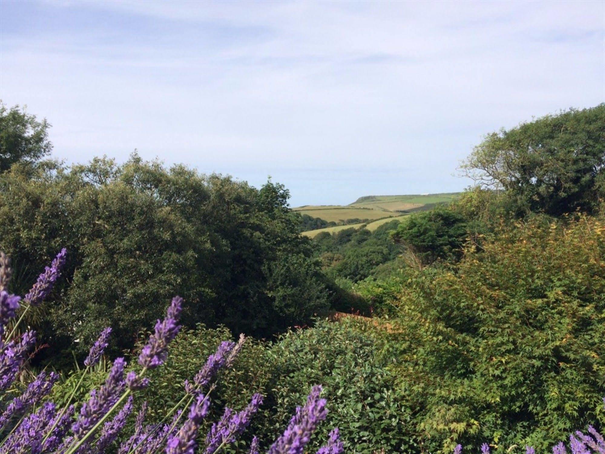 Boscastle House Bed & Breakfast Exterior photo