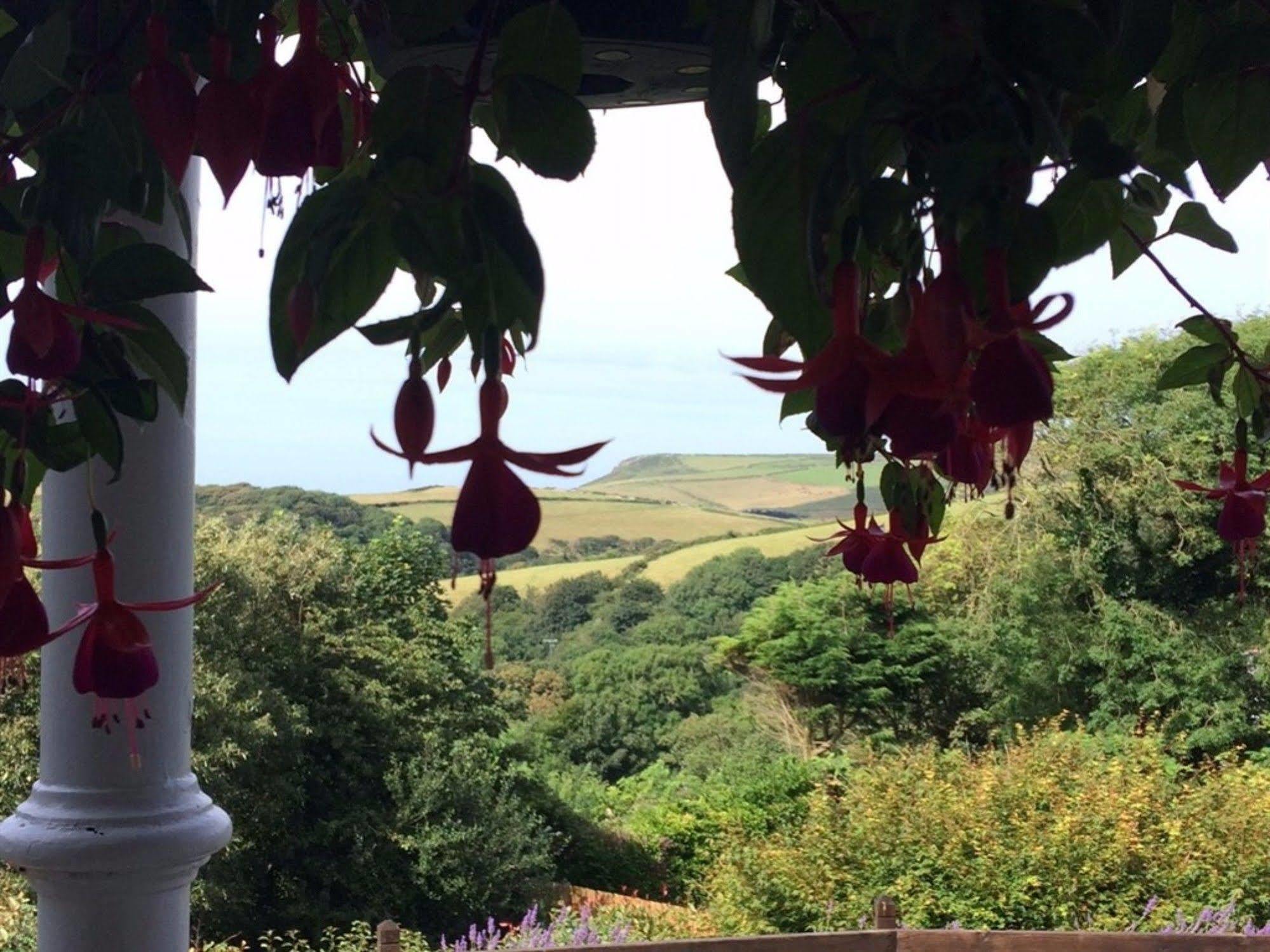 Boscastle House Bed & Breakfast Exterior photo